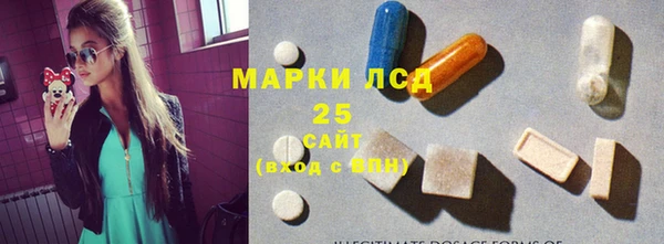PSILOCYBIN Волосово