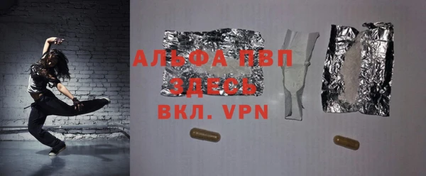 PSILOCYBIN Волосово