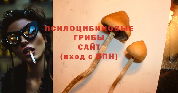 PSILOCYBIN Волосово