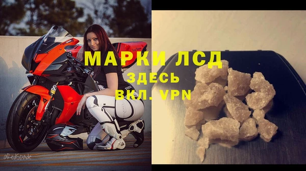 PSILOCYBIN Волосово